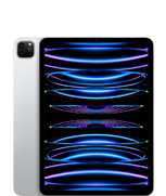 iPad Pro 11″ (4th generation)