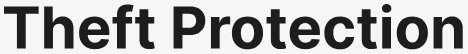 Theft Protection